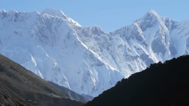 Everest avec un oiseau volant haut — Video