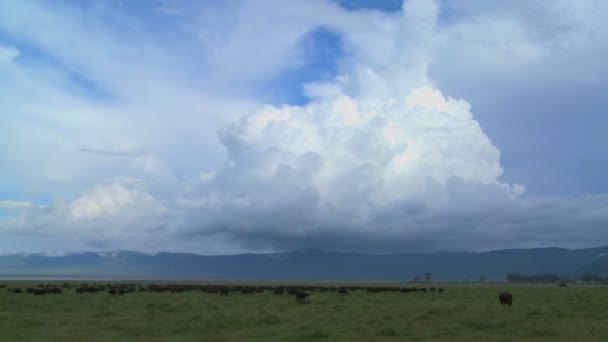 Moln formationer på slätterna i Afrika — Stockvideo