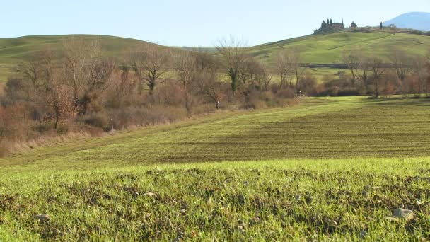 Campos y colinas sugieren la agricultura en Toscana — Vídeos de Stock