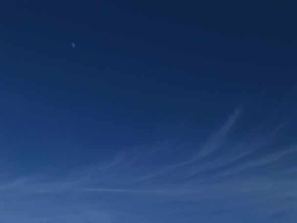 Ciel bleu avec des nuages tordus — Video