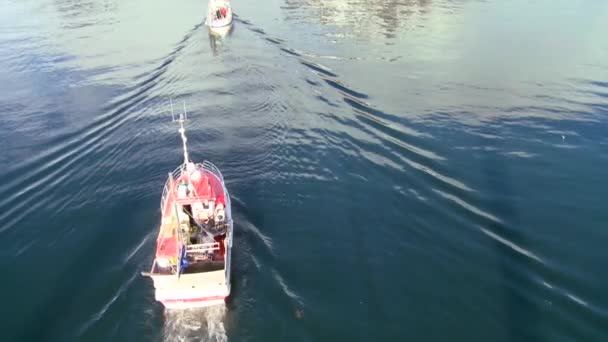 Fiskebåtar på väg ut till havet — Stockvideo