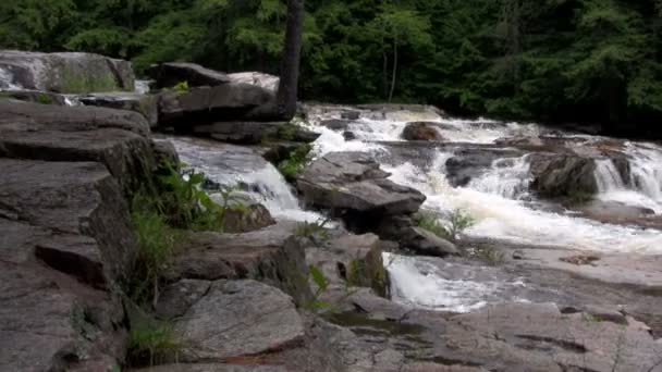 Una cascada fluye a través del bosque — Vídeos de Stock