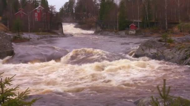 Ein Fluss erreicht Hochwasserstufe — Stockvideo