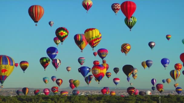 Albuquerque ballong festival — Stockvideo