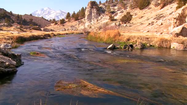 Fiume scorre attraverso le montagne della Sierra Nevada — Video Stock