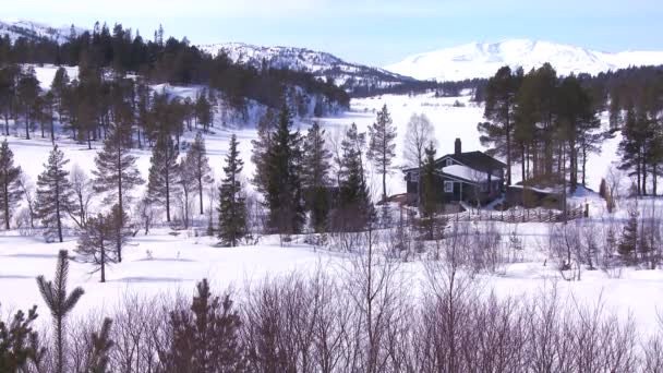 Cabina immersa in una natura innevata — Video Stock