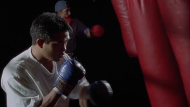Boxeadores practican puñetazos — Vídeo de stock