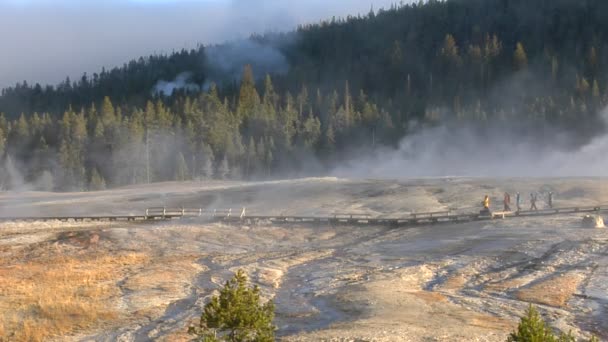 Menschen laufen durch den Nationalpark — Stockvideo