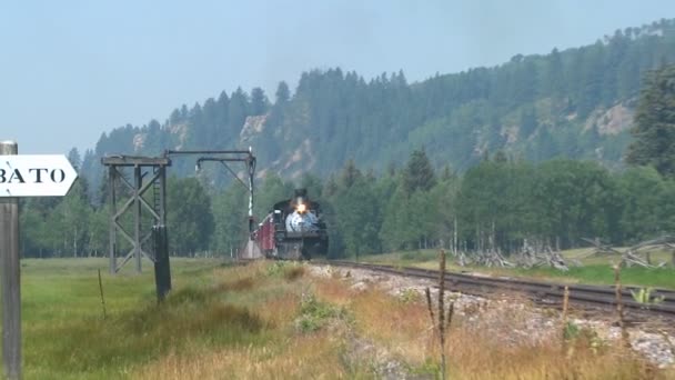 Tren pasa por las montañas — Vídeo de stock