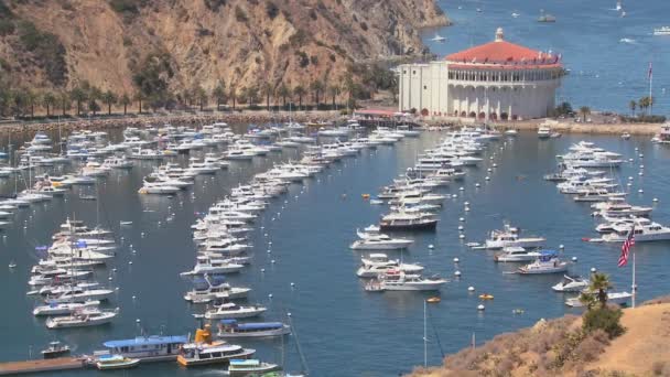 Cidade de Avalon na ilha da catalina — Vídeo de Stock