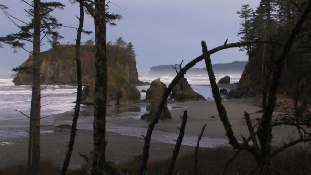 Una bonita foto de la costa de Oregon — Vídeos de Stock