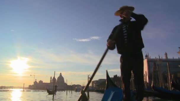 Gondolier rowing a gondola — Stock Video
