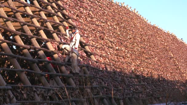 Pêcheurs accrocher des poissons à la pyramide — Video