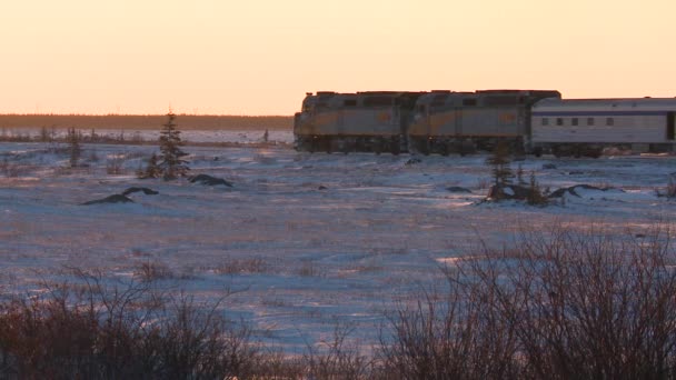 Passagens de comboio de passageiros através da tundra — Vídeo de Stock