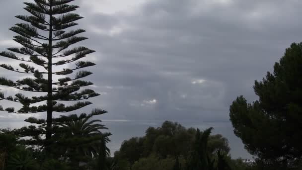 雲は、カリフォルニアの海岸に沿って移動します。 — ストック動画