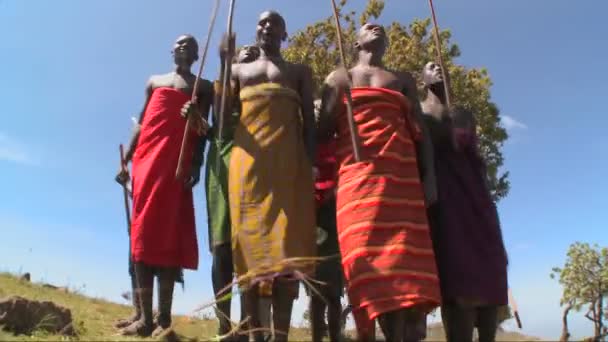 Masajští bojovníci provést rituální tanec — Stock video