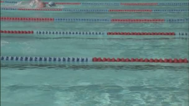 Swimmers race across a pool — Stock Video