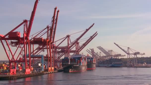 Puerto y puerto de Seattle — Vídeo de stock