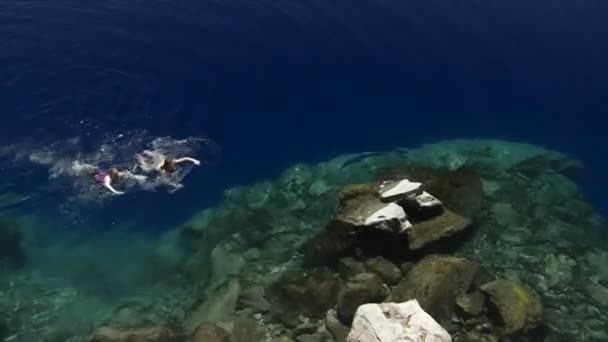 Frauen schwimmen im Wasser — Stockvideo