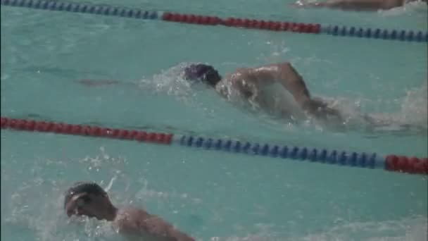 Swimmers swim in pool — Stock Video