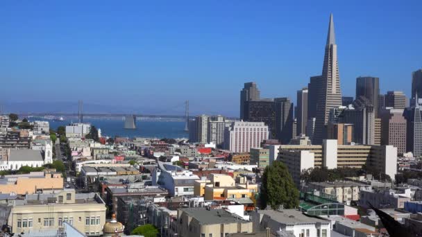 San Francisco Bay Bridge háttérrel — Stock videók