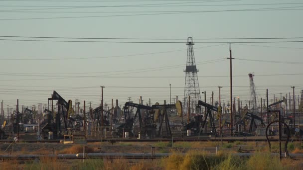 Sloupové jeřáby olej čerpání v obrovské ropné pole — Stock video