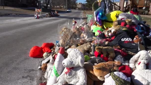 Makeshift memorial for Michael Brown — Stock Video