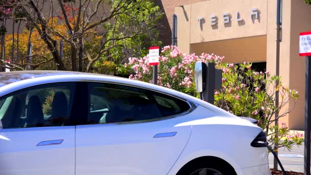 Tesla carro elétrico de carregamento — Vídeo de Stock