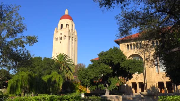 Stanford University campus in Palo Alto — Stockvideo