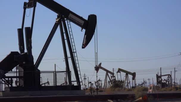 Oil derricks pumping in an oilfield — Stock Video