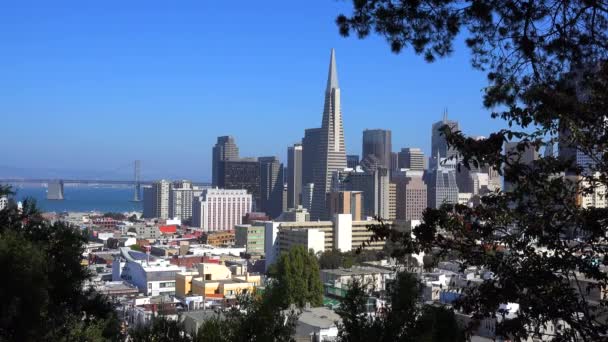 Вид на Сан Франциско, Калифорния . — стоковое видео