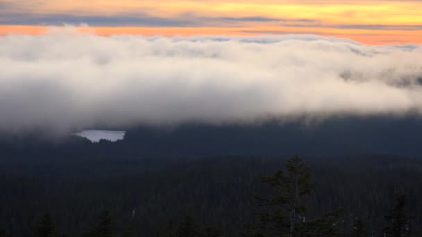 Облака, движущиеся по Орегонскому каскаду — стоковое видео