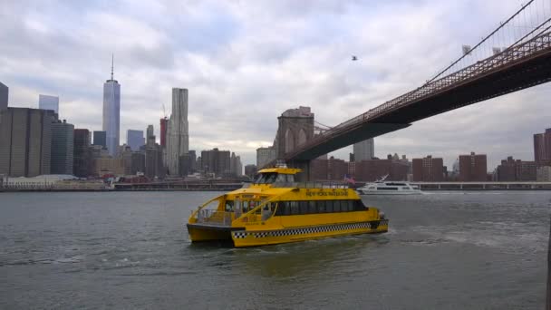 ブルックリン橋の下の水タクシー — ストック動画