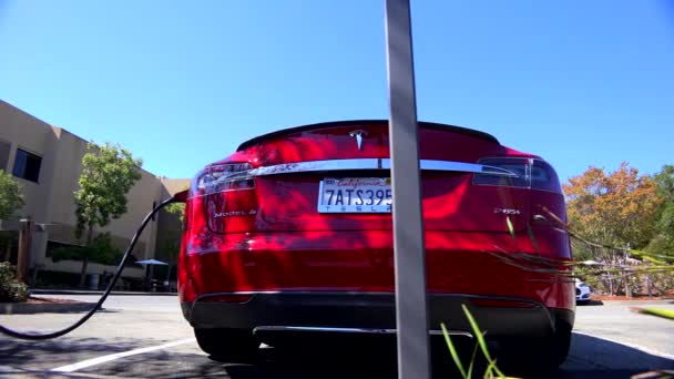 Tesla coche eléctrico a cargo — Vídeos de Stock