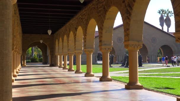 Stanford Üniversitesi kampüsünde Palo Alto — Stok video