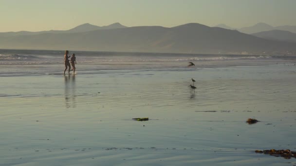 La gente camina por la playa — Vídeos de Stock