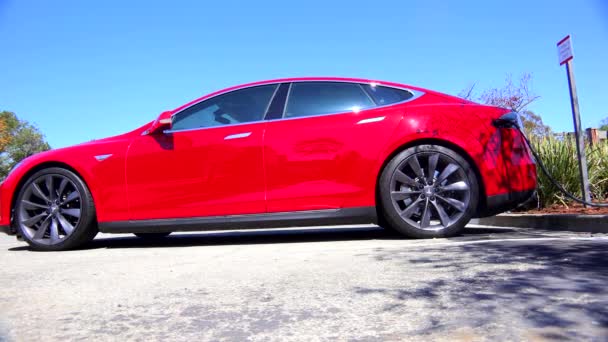 Side of a Tesla electric car — Stock Video