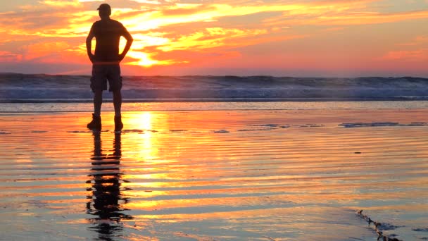 Uomo si erge sagomato nel tramonto dorato — Video Stock