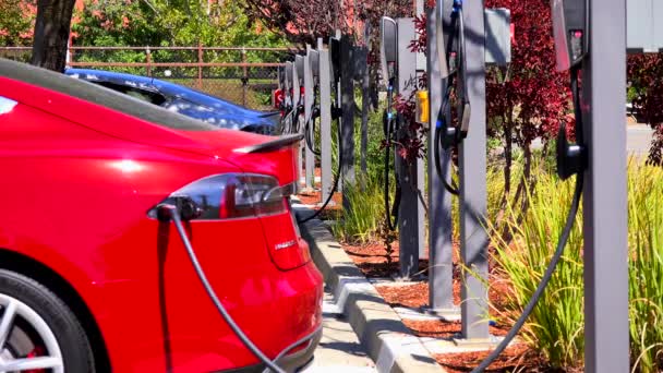 Sebuah mobil listrik Tesla mengisi — Stok Video