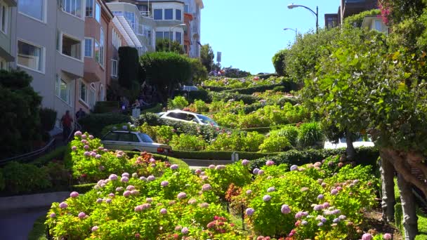 Coches en coche por Lombard Street — Vídeo de stock