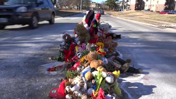 Makeshift memorial for Michael Brown — Stock Video