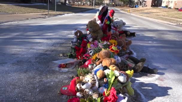 Makeshift memorial for Michael Brown — Stock Video