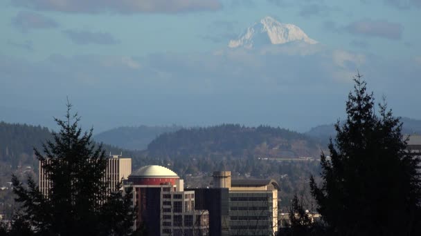 Panoramę Portland w stanie Oregon — Wideo stockowe