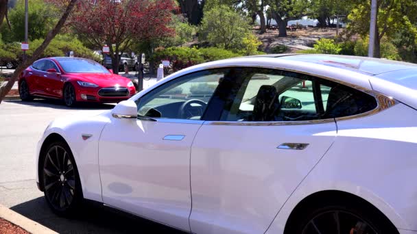 Tesla elektrische auto 's — Stockvideo