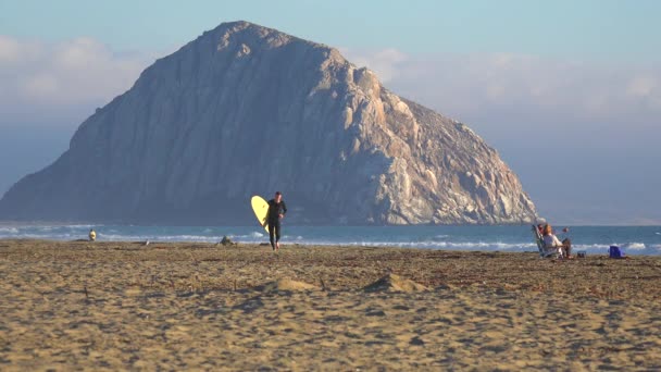 Um surfista atravessa uma praia — Vídeo de Stock