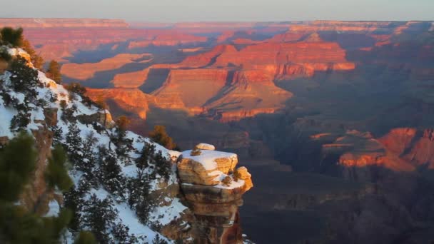 Grand Canyon rim på sunrise — Stockvideo