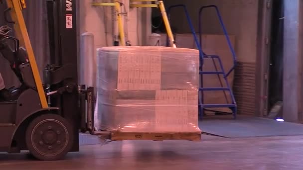 Heftrucks verplaatsen lading items op pallets — Stockvideo