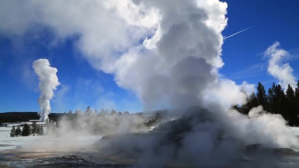 A geotermikus régió a Yellowstone Nemzeti Parkban — Stock videók