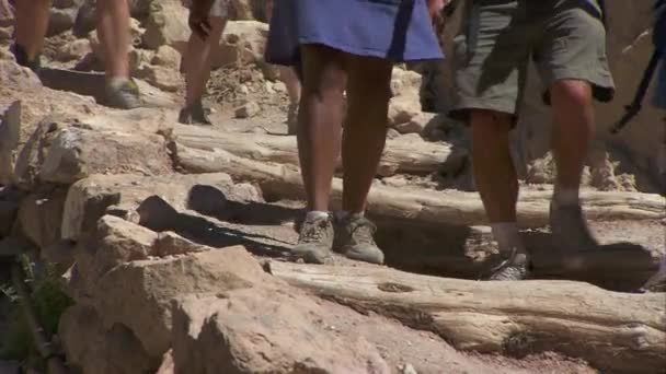 Rangers leiden een wandelen groep — Stockvideo