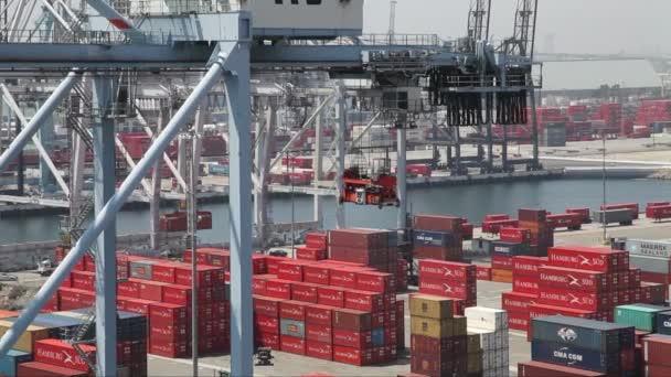 Aktivität im Containerhafen — Stockvideo